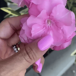 passy | Rose vernis à ongles gel semi-permanent